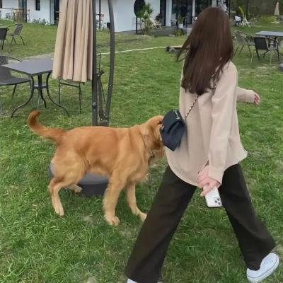 敢爱